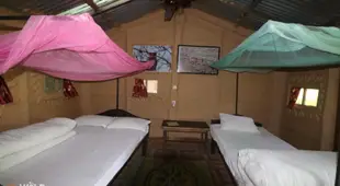 Wild Planet Eco Retreat