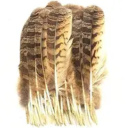 YUMAO 10pcs Rare Owl Eagle Feather 10-12inch/25-30cm Eagle Feathers for Crafts Jewelry Making Wedding Decoration Various Plumas Plumes 0216
