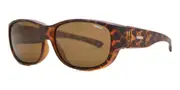 Sinner Sunrise S Polarized SISU-667-40-P30 Men's Sunglasses Tortoiseshell Size 63