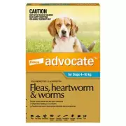 Advocate for Medium Dogs 4-10kg Teal Fleas Worms Heartworm Treatment 3 pack