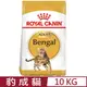 ROYAL CANIN法國皇家-豹成貓 BG40 10KG