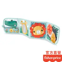 在飛比找蝦皮商城優惠-Fisher-Price 費雪折疊玩樂板