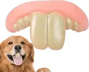 Dog Dentures Teeth - Funny Silicone False Teeth - Dog Games Accessories for Floor Play Family Travel Christmas Home Outdoor Friends