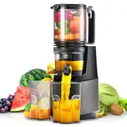 Cold Press Juicer,Slow Masticating Juicer Machines with 5.3" Large Deep Grey
