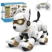 Robot Dog for Kids, Remote Control dog and Touch Voice Interactive dog, Progr...