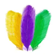 Jutom 120 Pcs Mardi Gras Feathers for Crafts 14-16 Inches Green Gold Purple N...