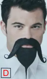 Style D Van Dyke Beard Handlebar face hair stage drama school costume disguise