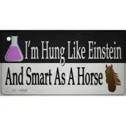 Hung Like Einstein Novelty Metal Key Chain KC-13658
