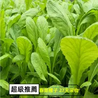 在飛比找蝦皮購物優惠-蔬菜種子 原裝春菜種子 早熟 芥菜 甜芥菜種子大田用種 F0