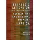 Strategic Litigation and the Struggle for Lesbian, Gay and Bisexual Equality in Africa