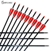 28"-31.5" Archery Fiberglass Arrows for Compound recurve bow Targeting Shooting