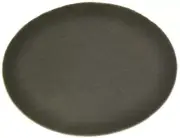 Dyson DC04, DC05 Upright Vacuum Cleaner Charcoal Filter