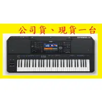 在飛比找蝦皮購物優惠-田田樂器YAMAHA PSR-SX700專業電子琴