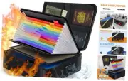 Important Document Organizer, Fireproof Document Safe/w Black(updated Version)
