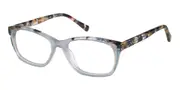Radley RDO 6027 119 Men's Glasses Blue Size 53 - Private Health Rebate - Blue Light Block Available