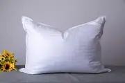 ArcticNorthDown King Size Goose Down Feather Hotel Collection Bed Pillows for...