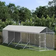 Outdoor Dog Kennel with Roof Silver 2x10x2.5 m Galvanised Steel Pet Shelter Enclosure