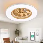 Ceiling Fans with Lights,23 in Bladeless Ceiling Fan with Dimmable LED,Timing...