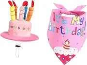 Generic Birthday Goose Outfit Lawn Goose Clothes Creative Prt Gift