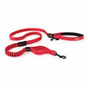 EzyDog Road Runner Hands Free Dog Leash