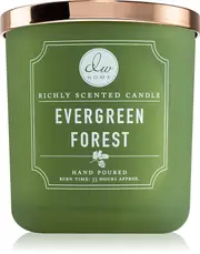 DW Home Signature Evergreen Forest scented candle 269 g