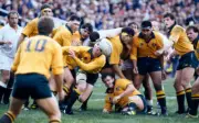 Australia rugby union captain Nick Farr-Jones passes the ball dur - Old Photo