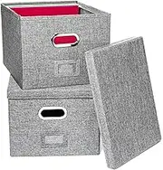 Alfion Hanging File Box 2-Pack | Portable Office Organizer with Lid, Handles, Metal Frame for Letter Size Folders (Gray)