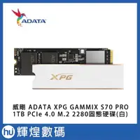 在飛比找蝦皮購物優惠-威剛 ADATA XPG GAMMIX S70 PRO 1T