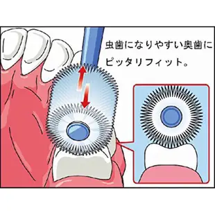 蒲公英 嬰兒牙刷/兒童牙刷/成人牙刷 360度牙刷（日本原裝進口非台灣總代理貨)