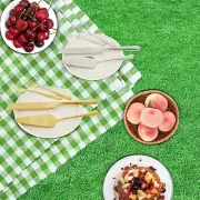 Cake Cutting Set Stainless Steel Cake Spatula Fork Knife Elegant Cake xipjz