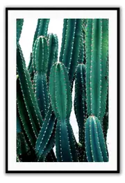 Cactus fluro