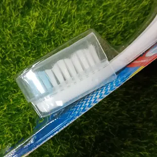 Oral B 歐樂B 潔淨 軟毛按摩 牙刷 單支 隨機出貨不挑色