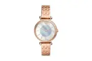FOSSIL Mod. BQ3820: A Timeless Elegance