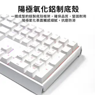 CHERRY 櫻桃 MX BOARD 3.0S RGB TKL 櫻桃軸 中文 機械鍵盤 有線 白色/粉色 光華商場