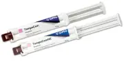 DMG TempoCEM Smartmix Automix Syringe Dental Temporary Cement w mix tips 212129