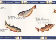 Canoe Paddles Fish Blue White Cream Lodge Man Cave Fishing Wall Wallpaper Border