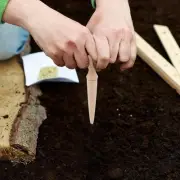 Garden Hole Punch Tool Bulb Planter Hand Dibber Crocus Handheld Sow Dibbler