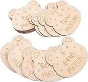 Toyvian 14pcs Milestone Photo Cards for Newborns Announcement Signs Unisex Growth Discs Memorable Monthly Milestones Parents