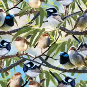 Patchwork Quilting Sewing Fabric Charming Blue Wren 50x55cm FQ