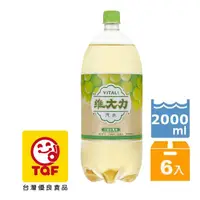 在飛比找PChome24h購物優惠-維大力白葡萄風味氣水2000ml(6入/箱)