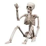 1 Piece Halloween Skeletons Decorations Posable Plastic Skeleton White P8L69555
