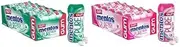 Mentos Gum Spearmint & Bubble Fresh