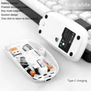 Wireless Mouse with 2400DPI and Rechargeable Battery Transparent and Reliable