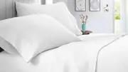 Fantastic 6 PCs Sheet Set - Egyptian Cotton - White - Select TC/Pattern/Size