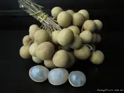 Dwarf Longan, Dimocarpus longan