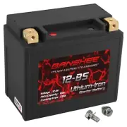 Banshee YTX12-BS 12V 12AH LifePO4 Battery Replaces MBTX12U HTX12-BS ETX12-BS