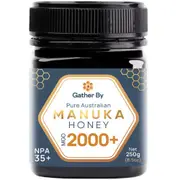 Manuka Honey MGO 2000+ - NPA 35+