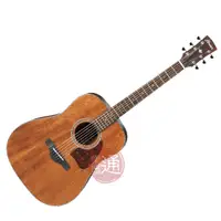 在飛比找蝦皮商城優惠-Ibanez / AW54 OPN 41吋 面單木吉他【樂器