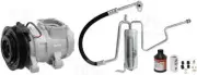 A/C Compressor Kit-Complete A/C Kit fits 02-04 Jeep Grand Cherokee 4.0L-L6 (for: Jeep)