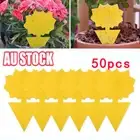 Sticky Fruit Fly Traps, Fungus Gnat Killer Trap use for Indoor Outdoor, 50 pcs